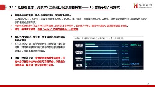 鸿蒙出鞘，剑指生态 华西证券洞察下的产业变革与软件研发新范式